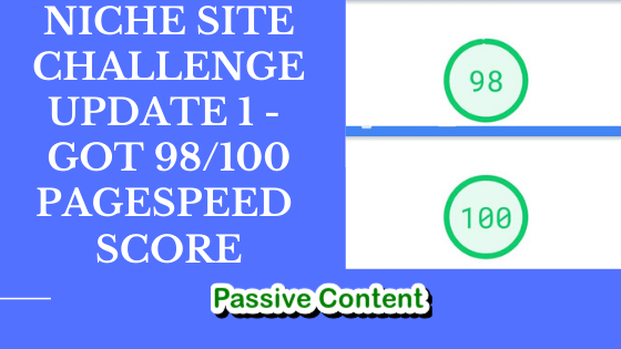 90 Day Niche Site Challenge Weekly Update 1 – Got 98/100 Google Pagespeed Score